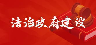 法治政府